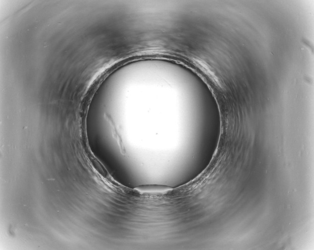 X0000093721356200710301016
