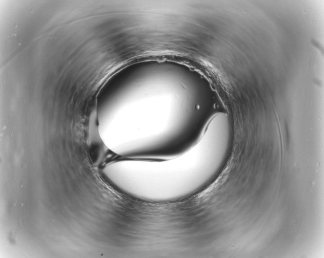 X0000093721361200710301016