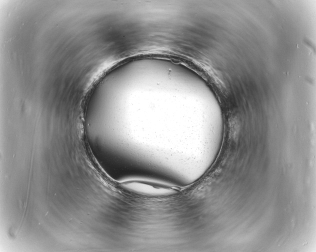 X0000093721363200710301016