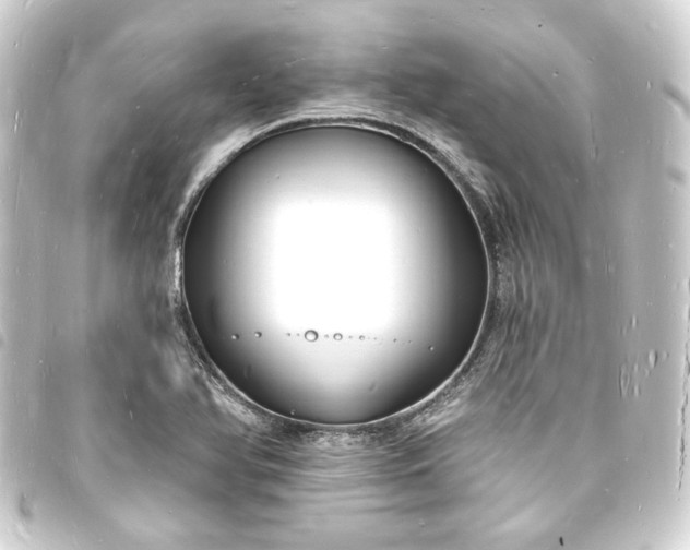 X0000093721366200710301016