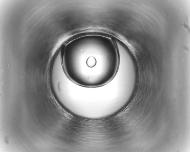 X0000093721368200710301016