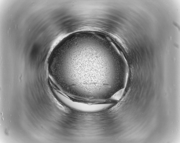 X0000093721371200710301016