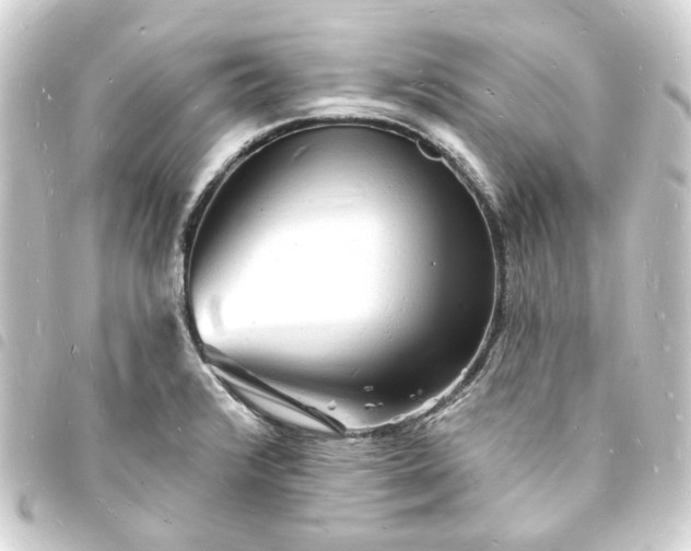 X0000093721376200710301016