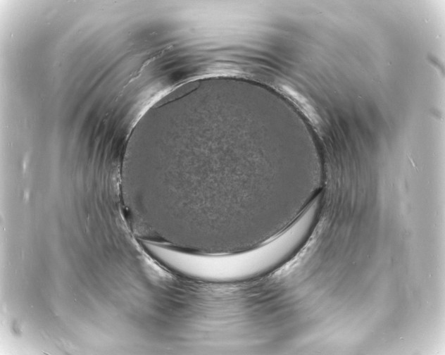 X0000093721377200710301016