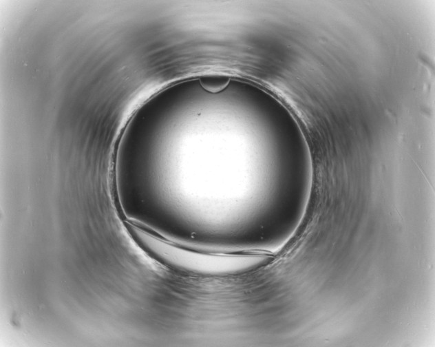 X0000093721379200710301016