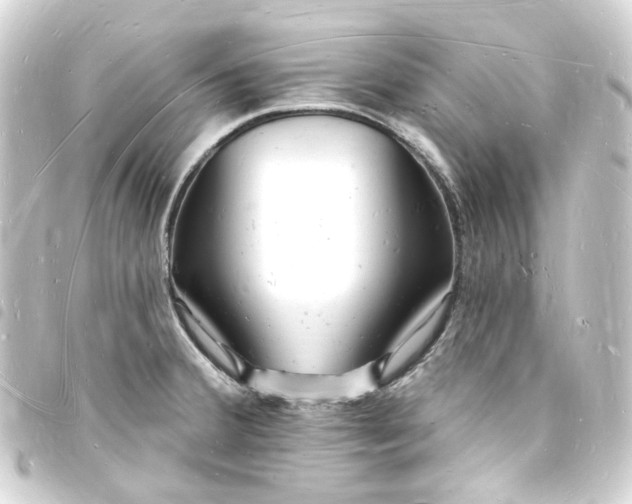 X0000093721380200710301016