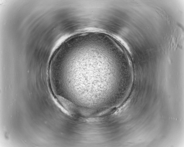 X0000093721381200710301016