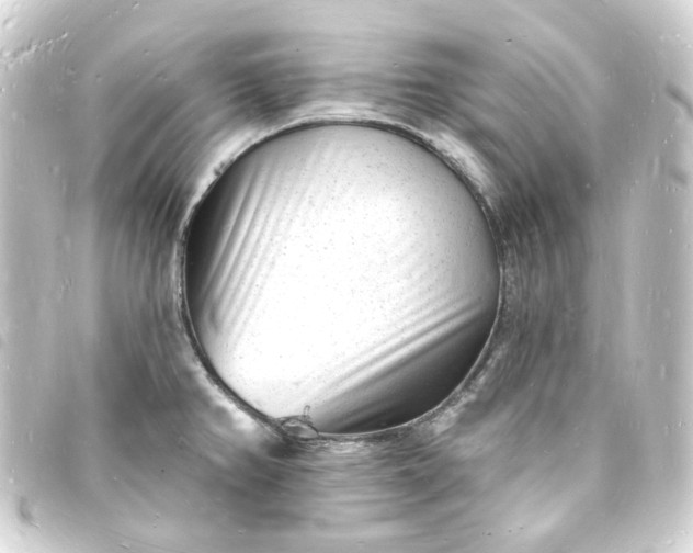 X0000093721382200710301016