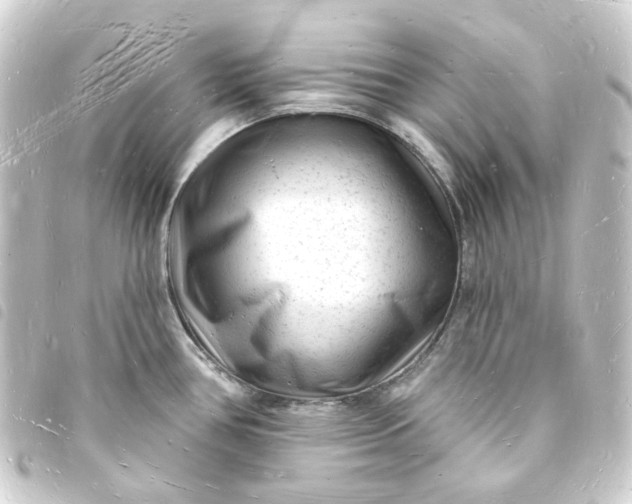 X0000093721386200710301016
