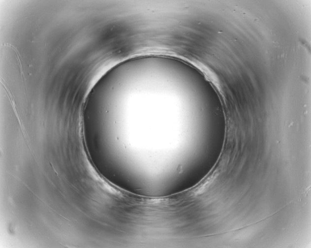X0000093721390200710301016