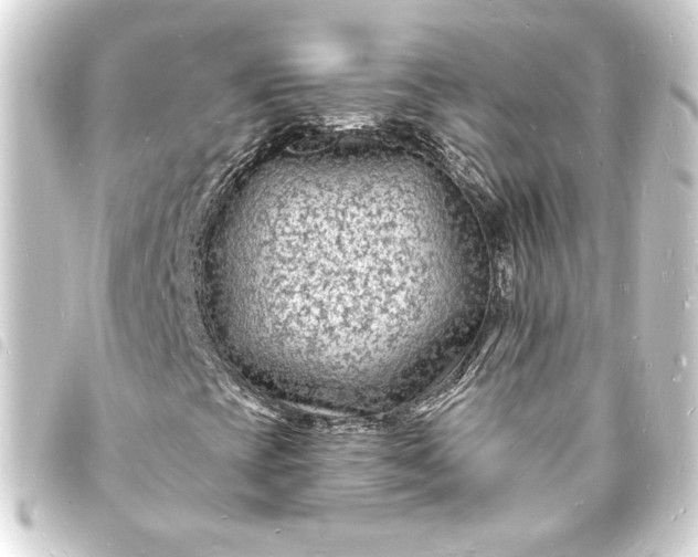X0000093721393200710301015