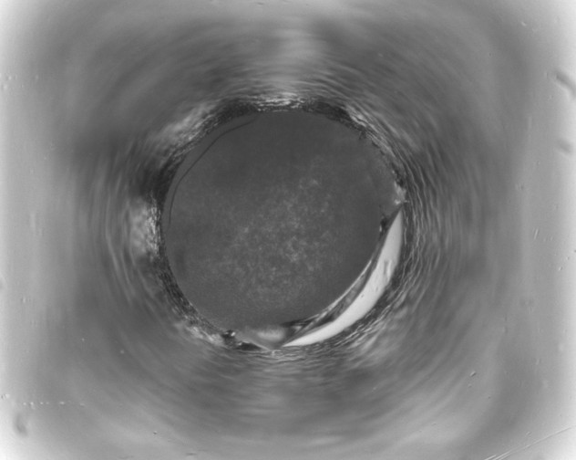 X0000093721394200710301015