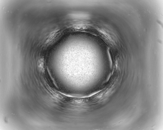 X0000093721396200710301015