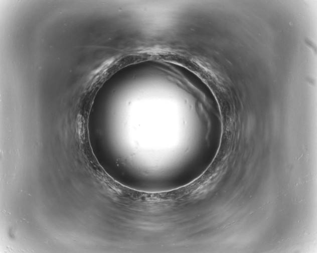 X0000093721398200710301015