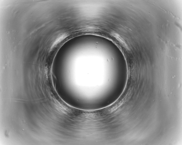X0000093721402200710301015