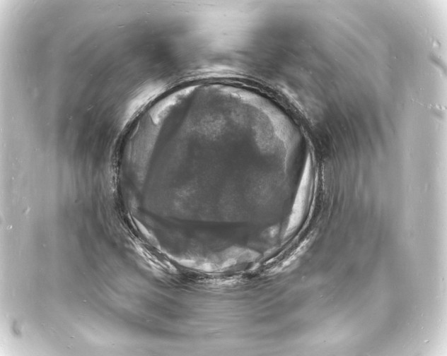 X0000093721405200710301015