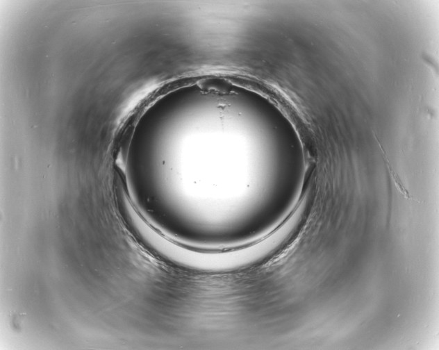 X0000093721406200710301015