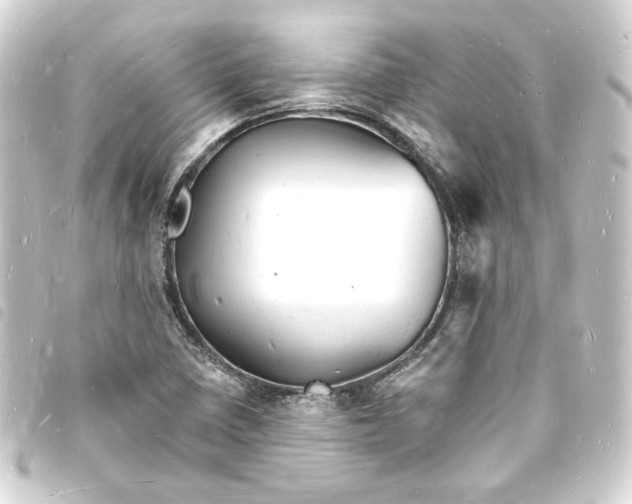X0000093721410200710301015