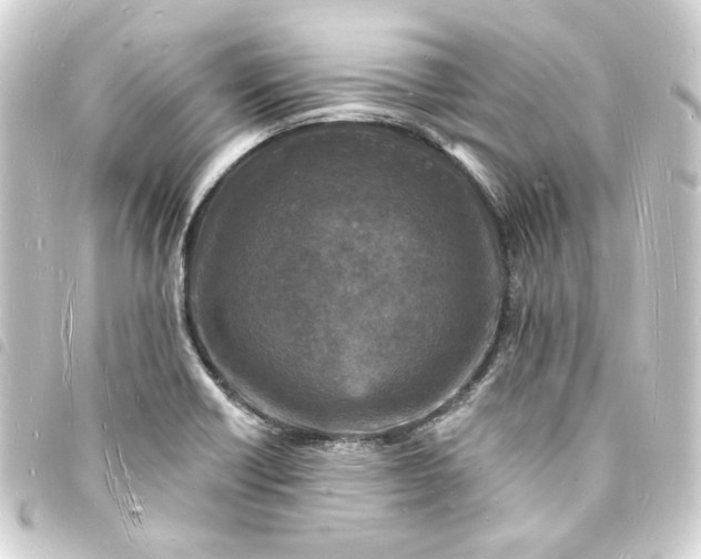 X0000093721418200710301015