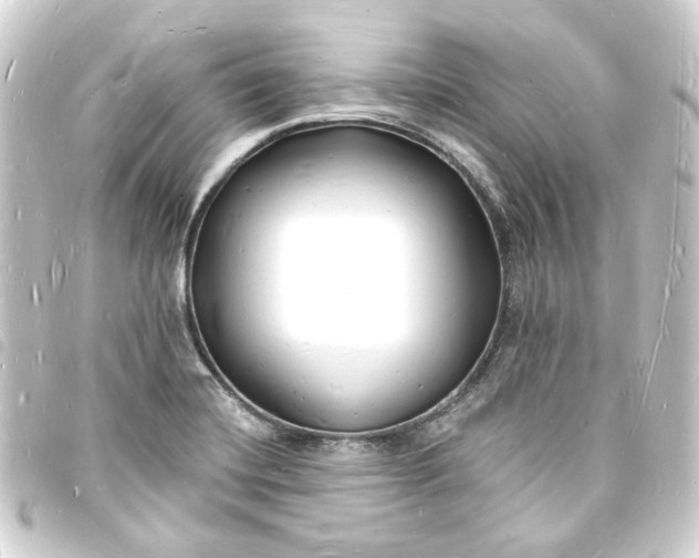 X0000093721420200710301015