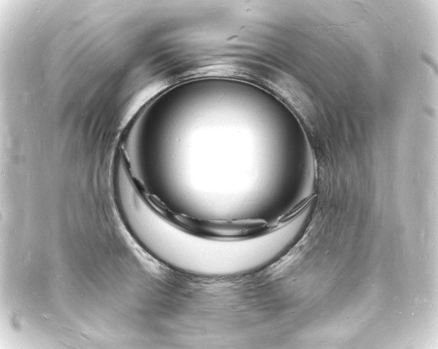 X0000093721426200710301015