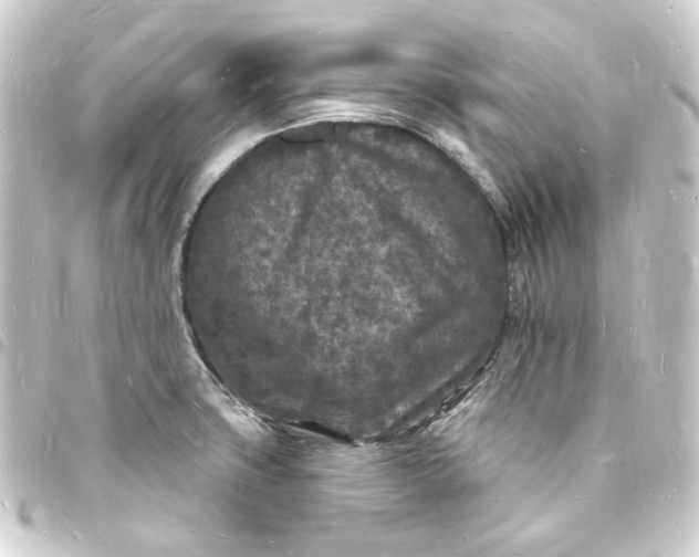 X0000093721427200710301015