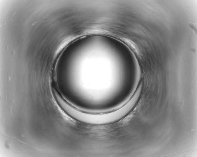 X0000093721430200710301015