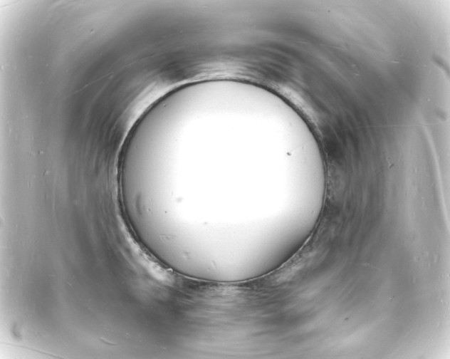 X0000093721431200710301015