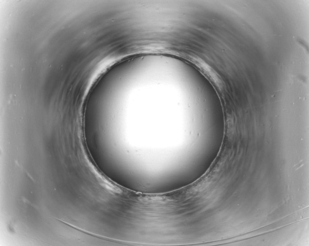 X0000093721432200710301015