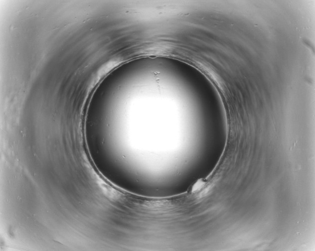 X0000093721434200710301015