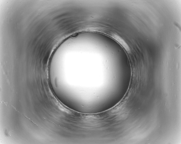 X0000093721436200710301016