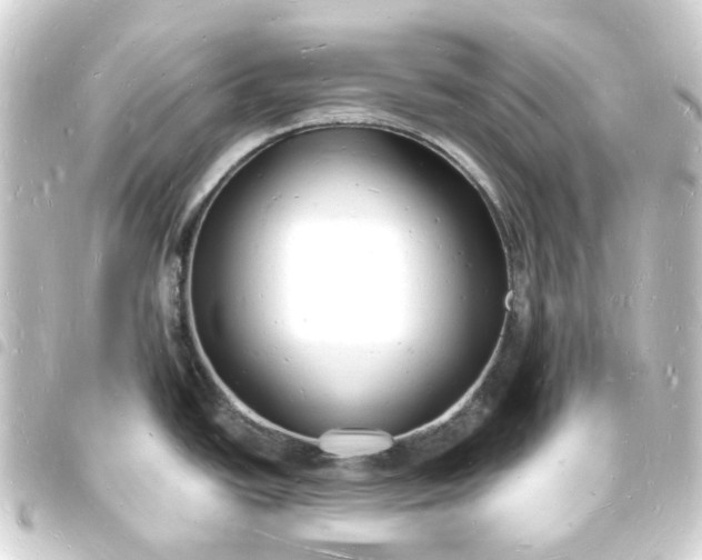 X0000093721438200710301016