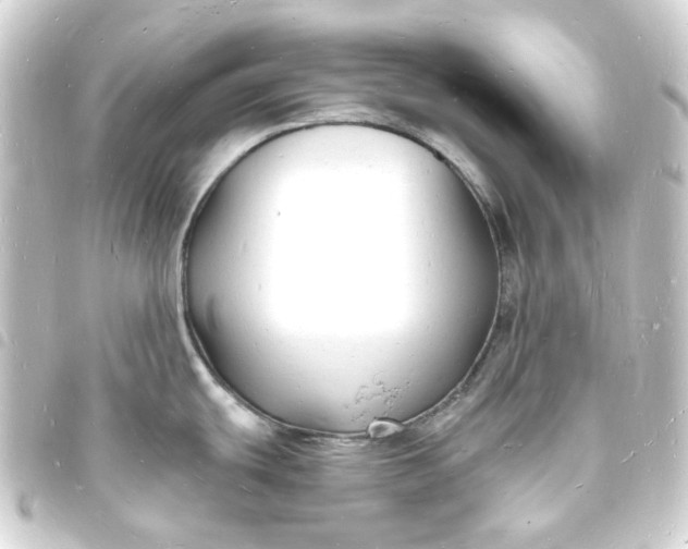 X0000093721439200710301016
