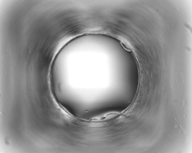 X0000093721440200710301016