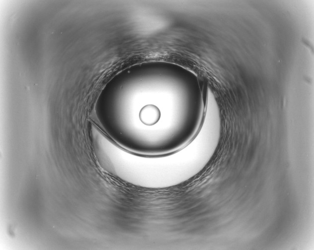 X0000093721441200710301015