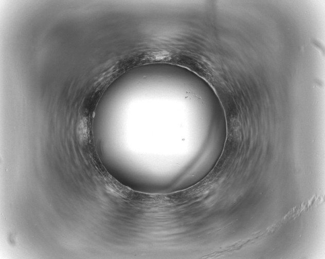 X0000093721442200710301015