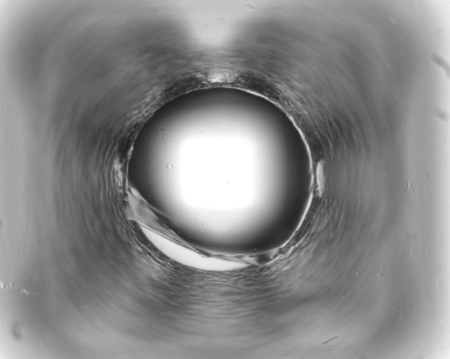 X0000093721443200710301015