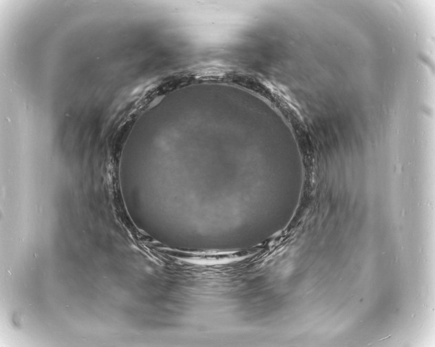 X0000093721445200710301015