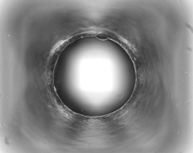 X0000093721448200710301015