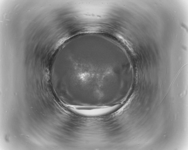 X0000093721449200710301015