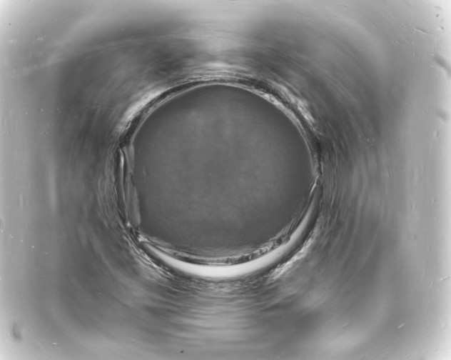 X0000093721453200710301015