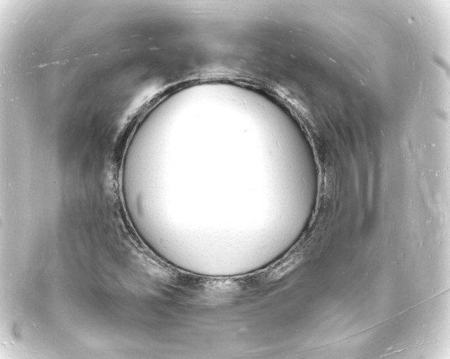 X0000093721454200710301015