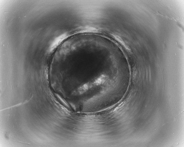 X0000093721455200710301015