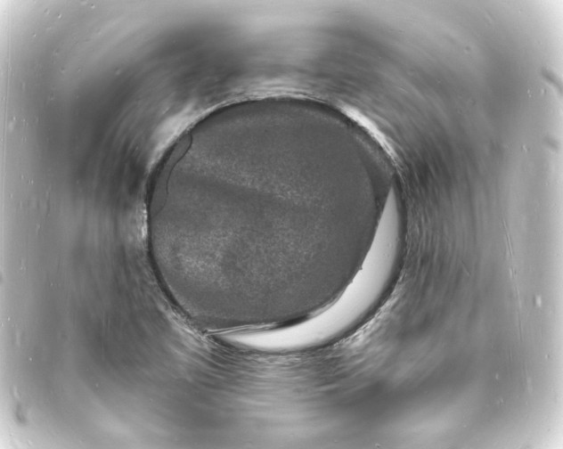 X0000093721461200710301015