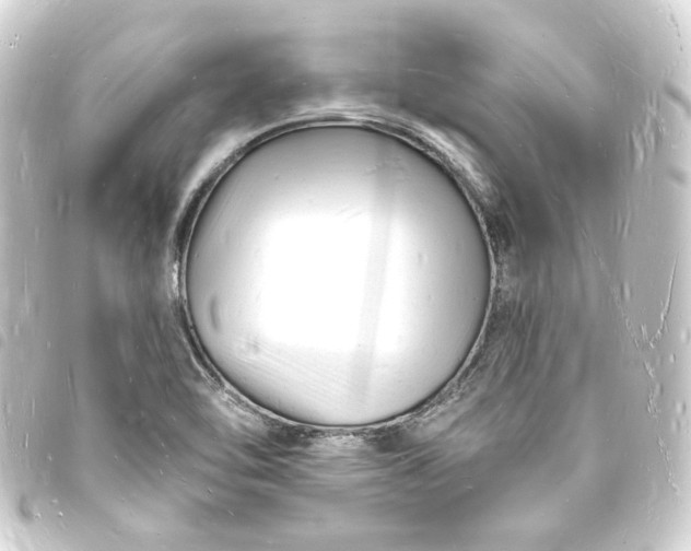 X0000093721462200710301015