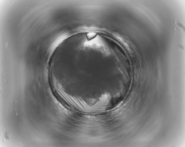 X0000093721463200710301015