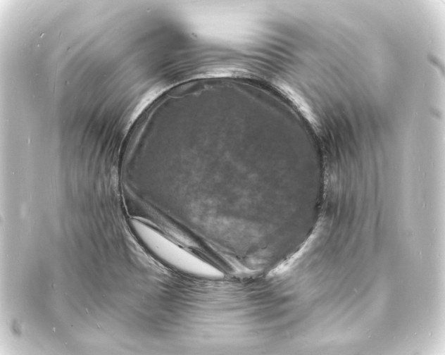 X0000093721465200710301015