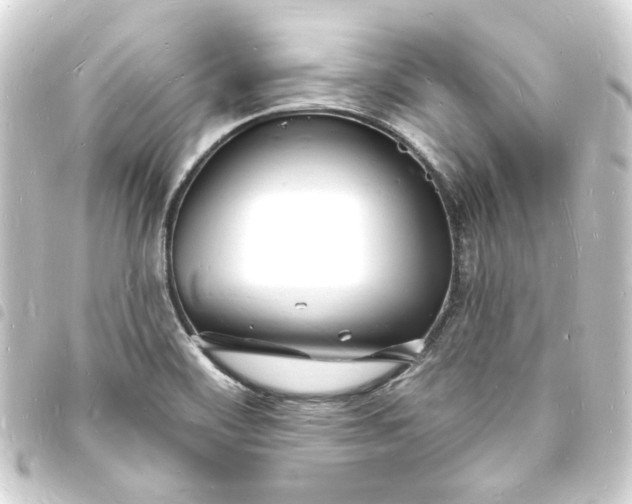X0000093721468200710301015
