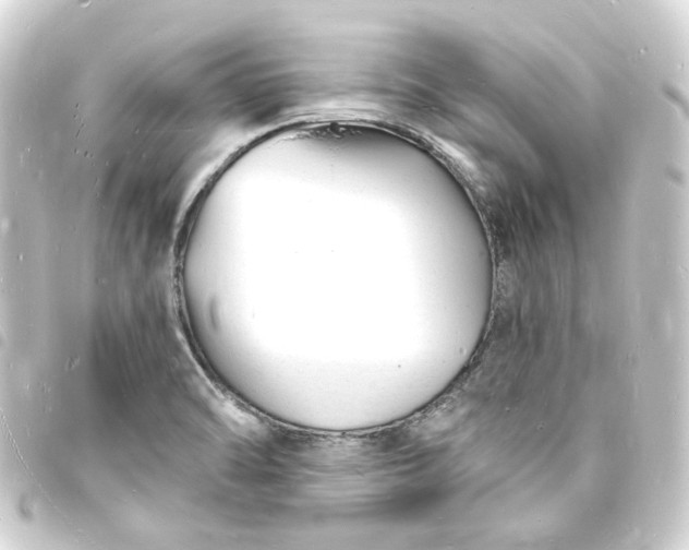 X0000093721470200710301015