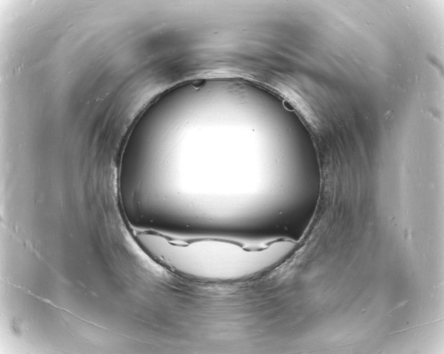 X0000093721476200710301015